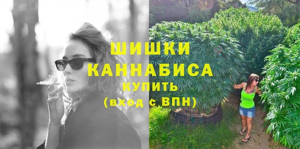 дмт Белокуриха