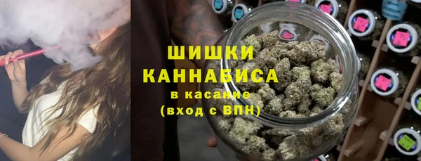 дмт Белокуриха